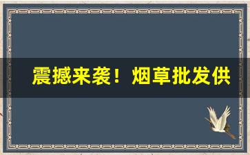 震撼来袭！烟草批发供应商“弊车驽马”