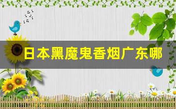 日本黑魔鬼香烟广东哪能买到-黑魔鬼香烟在超市能买到吗