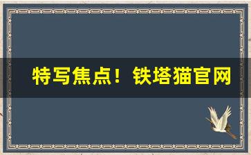 特写焦点！铁塔猫官网购买“改过作新”