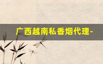 广西越南私香烟代理-越南华人超市香烟价格