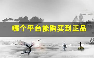 哪个平台能购买到正品-在平台上购物怎么买到正品