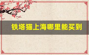 铁塔猫上海哪里能买到-深圳哪里可以买到铁塔猫