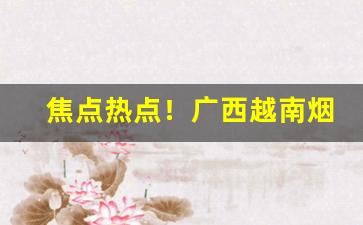 焦点热点！广西越南烟国烟免税烟一手代理货源“创痍未瘳”