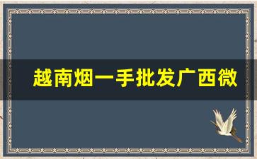 越南烟一手批发广西微信号-广西越南烟多少钱一条