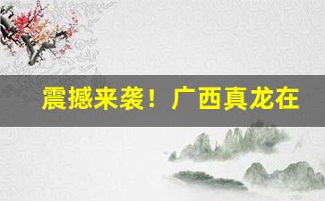 震撼来袭！广西真龙在哪里卖“涤故更新”