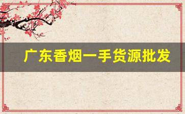 广东香烟一手货源批发代理-香烟供货商广东