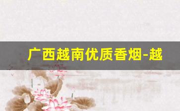 广西越南优质香烟-越南50000的烟