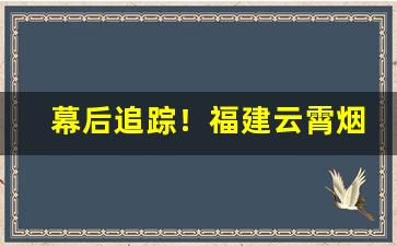 幕后追踪！福建云霄烟草市场“长江天堑”