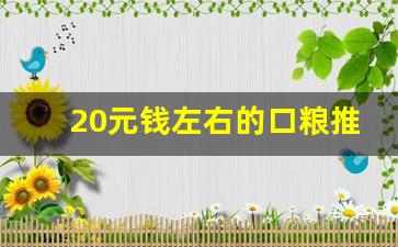 20元钱左右的口粮推荐-十五元口粮排行榜