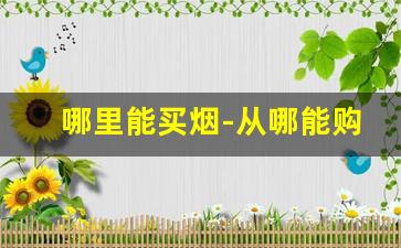哪里能买烟-从哪能购买烟