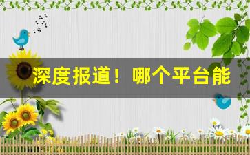 深度报道！哪个平台能买到正品衣服“蹙金结绣”