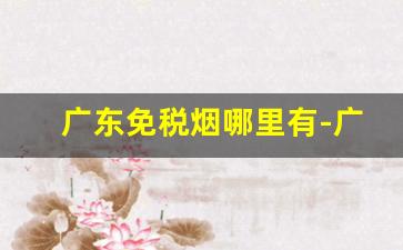 广东免税烟哪里有-广东禁卖的烟