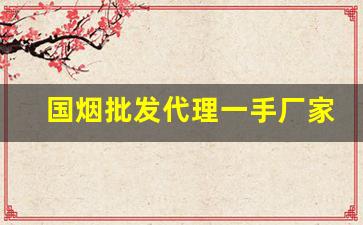 国烟批发代理一手厂家货源-各种烟批发多少钱一条
