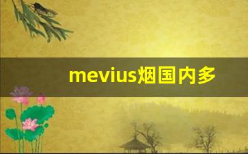 mevius烟国内多少钱一条-mevius烟多少钱一包蓝盒在哪买