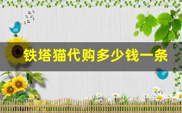 铁塔猫代购多少钱一条-铁塔猫价格多少钱一只