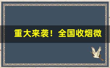 重大来袭！全国收烟微信群“耳根清净”