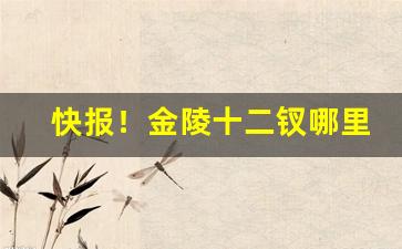 快报！金陵十二钗哪里便宜“晨兢夕厉”