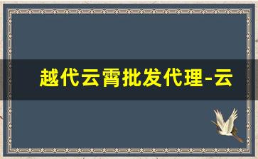 越代云霄批发代理-云霄正品官方旗舰店
