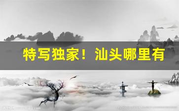 特写独家！汕头哪里有卖出口香烟“鹅毛雪”