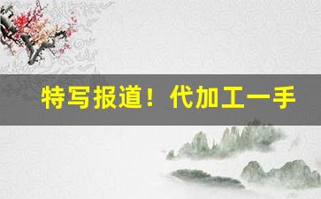 特写报道！代加工一手货源“甘之若素”