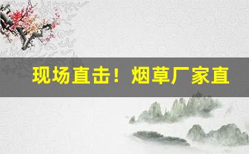 现场直击！烟草厂家直销系列“变名易姓”