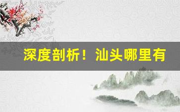 深度剖析！汕头哪里有卖洋烟“从心之年”