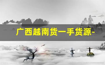 广西越南货一手货源-跨境越南外贸货源