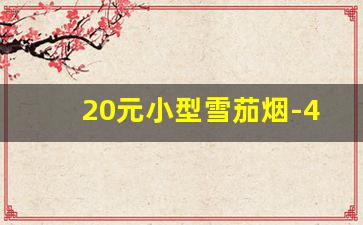 20元小型雪茄烟-40元左右的小雪茄香烟