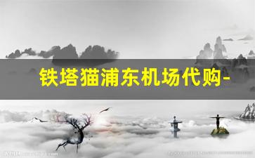 铁塔猫浦东机场代购-网上哪里可以买到韩国铁塔猫