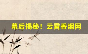 幕后揭秘！云霄香烟网上批发商城“发奸摘覆”