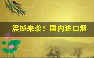 震撼来袭！国内进口烟批发“传风搧火”