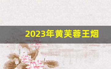 2023年黄芙蓉王烟多少钱一条-黄芙蓉王烟价格多少钱一条