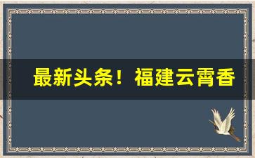 最新头条！福建云霄香烟批发一手货源联系方式“春风夏雨”