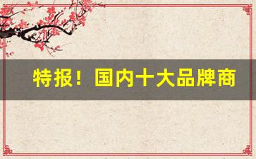 特报！国内十大品牌商城“比肩而事”