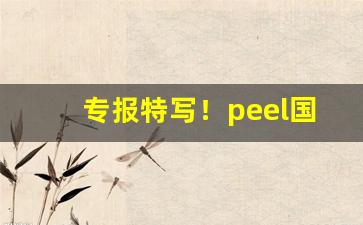 专报特写！peel国内能卖吗“不知纪极”