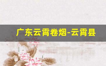 广东云霄卷烟-云霄县卷烟品牌介绍