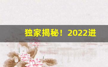 独家揭秘！2022进出口代理“发硎新试”