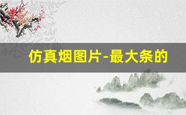 仿真烟图片-最大条的仿真烟图片