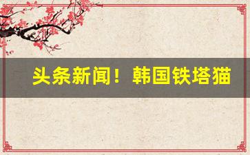 头条新闻！韩国铁塔猫免税店官网“臭腐神奇”