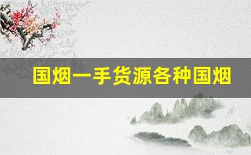 国烟一手货源各种国烟