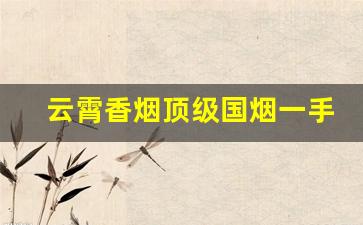 云霄香烟顶级国烟一手货源