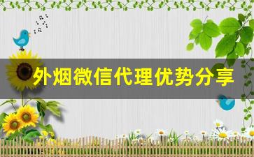 外烟微信代理优势分享-20支烟加盟店有假烟吗