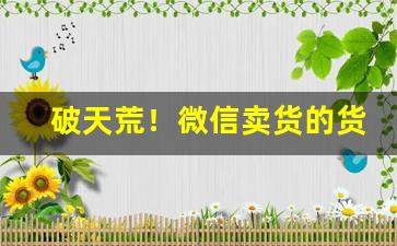 破天荒！微信卖货的货源哪里来“殚精竭诚”