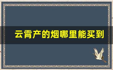 云霄产的烟哪里能买到-云霄烟批发哪里最便宜