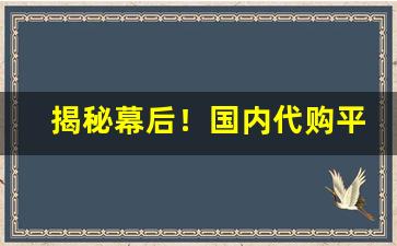 揭秘幕后！国内代购平台app哪个好用“超世绝伦”