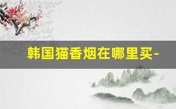 韩国猫香烟在哪里买-韩国免税店铁塔猫香烟