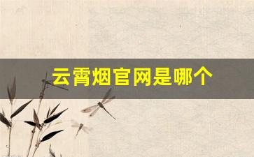 云霄烟官网是哪个