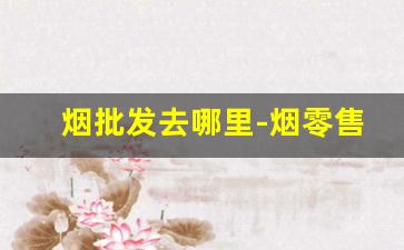 烟批发去哪里-烟零售批发地方叫什么地方